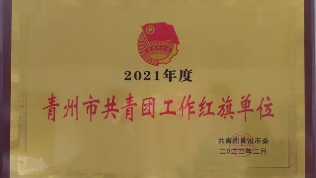 集團(tuán)團(tuán)委被授予2021年度”青州市共青團(tuán)工作紅旗單位“榮譽稱號